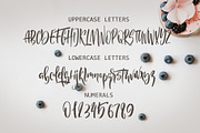 NEW! Huckleberry Gateau Font, a Script Font by Wewhitelist (Thumbnail 3 of 6)