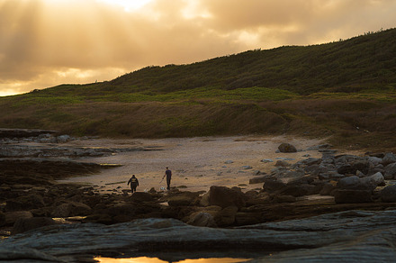 Couple walking dog sunset