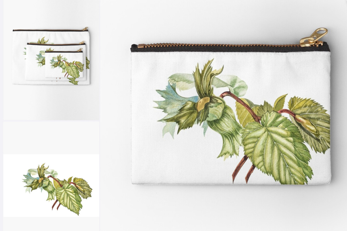 Hazelnuts in botanical style, a Food Illustration by Ann Astro (Photo 6 of 8)