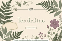 Tendriline Botanical Serif Font