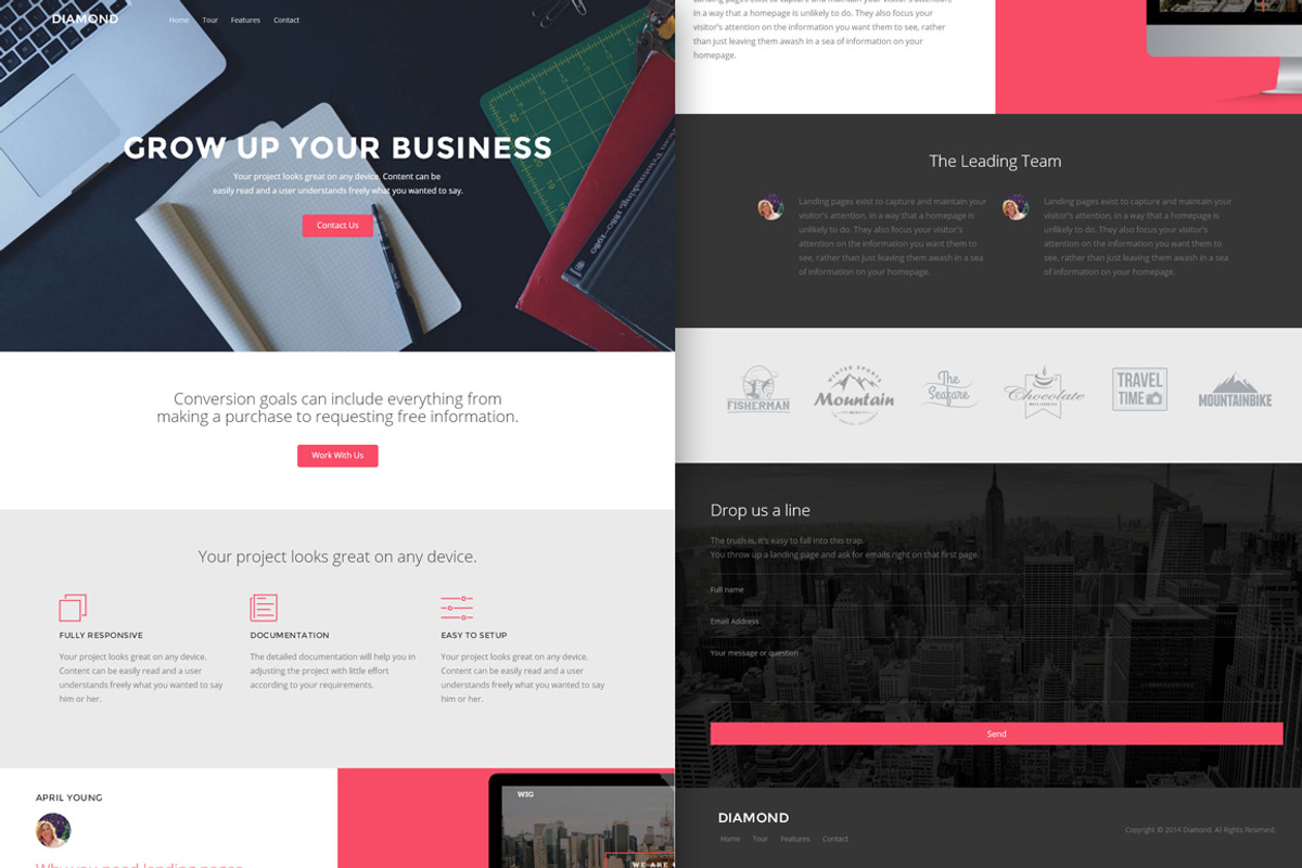Diamond - Landing Page Template, a HTML Template by Zeepfeed (Photo 4 of 6)