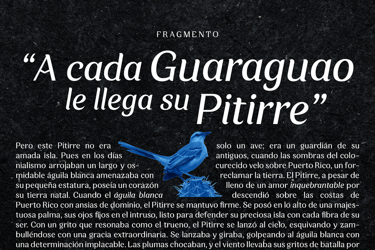 Zorzal | A serif-sans hybrid, a Serif Font by Pedroglifos (Photo 2 of 11)