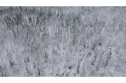 Top view of snow-covered winter, a Nature Photo by Media Whale Stock