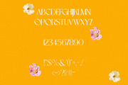 Anemone - Elegant & Modern Sans, a Sans Serif Font by Mikhail Kitsune (Thumbnail 7 of 8)