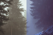 454 Infrared Fantasy Pro LUTs, a Preset Add-On by ShutterPro (Thumbnail 23 of 48)