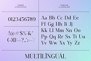 Bioscape - Modern Serif Typeface, a Serif Font by Font Kingdom (Thumbnail 3 of 5)
