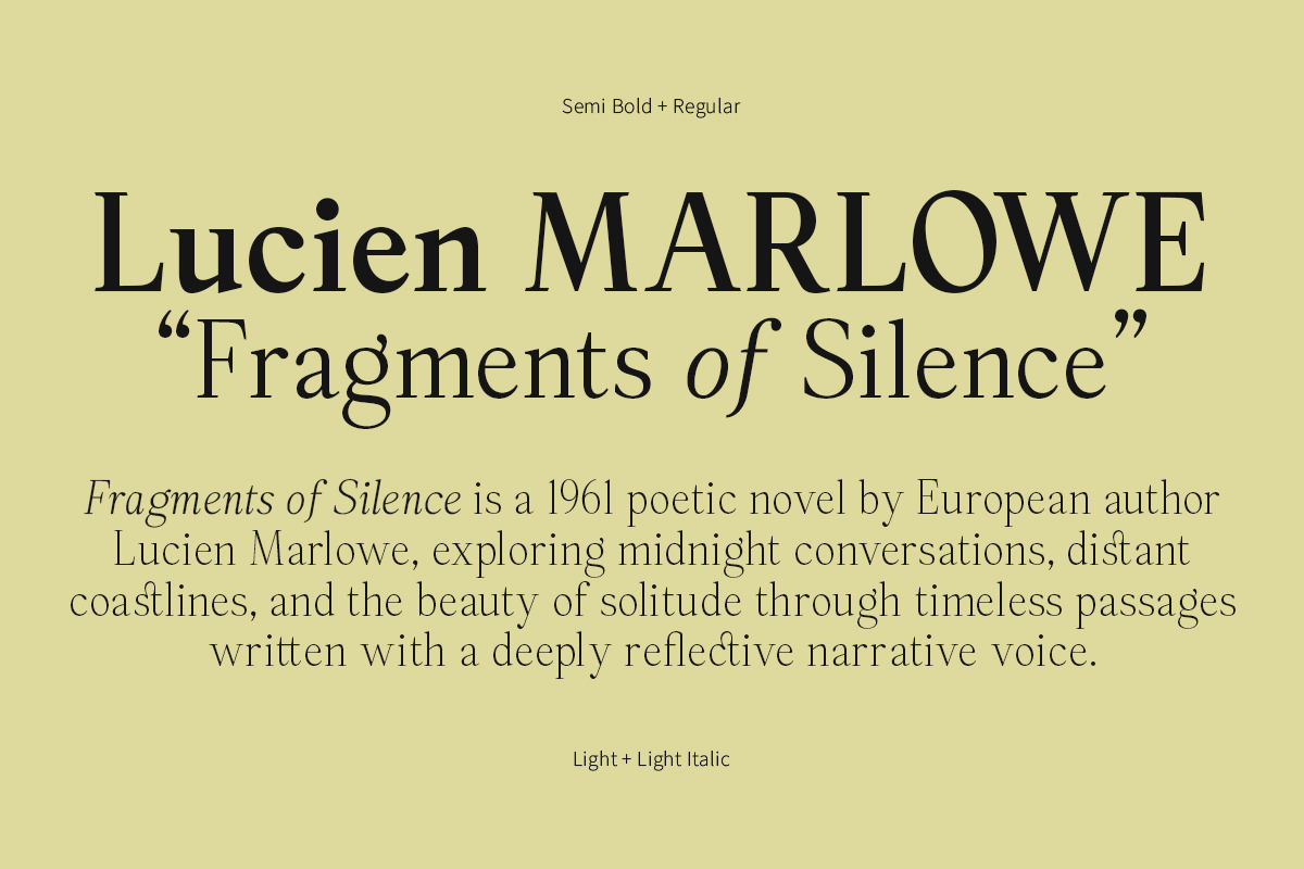 Panasea | 12 Fonts, a Serif Font by Skinny Type (Photo 13 of 15)
