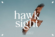 hawk sight - vintage serif, a Serif Font by Mikhail Fukurou (Thumbnail 1 of 8)