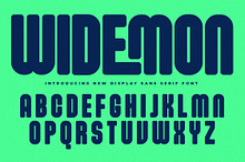 Widemon New Display Sans Serif