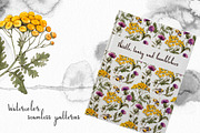Thistle tansy bumblebees watercolor, an Illustration by Alamella (Thumbnail 5 of 5)