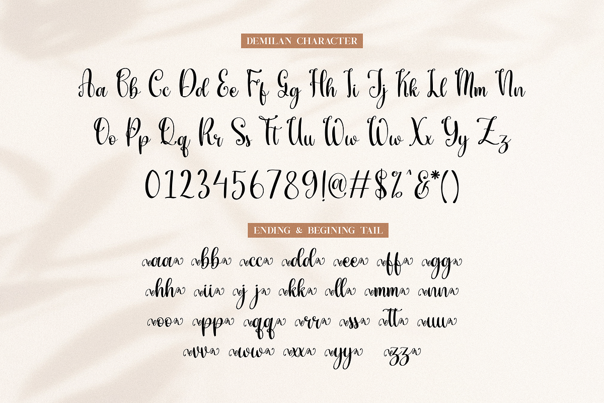 demilan, a Script Font by Essentials Studio (Photo 8 of 10)