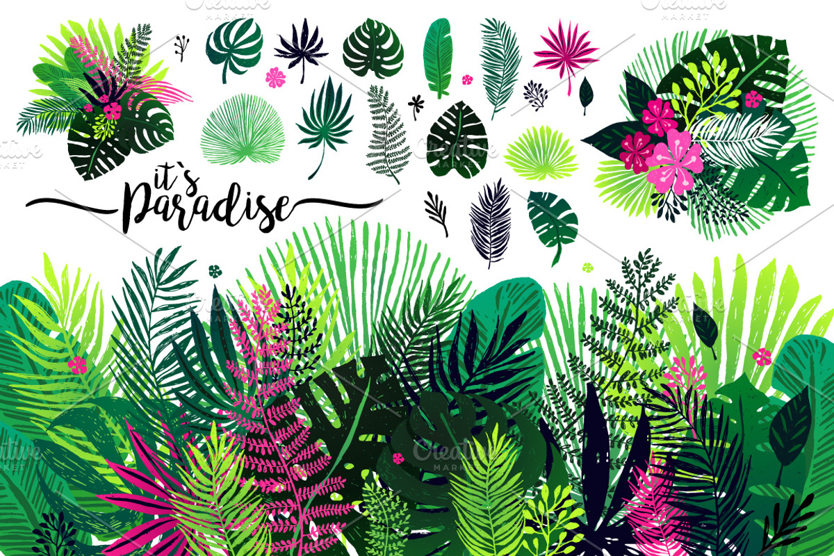 exotic tropical palm leaves, an Illustration by coconut_forest (Photo 4 of 5)