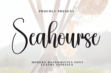 Seahourse | Script Font