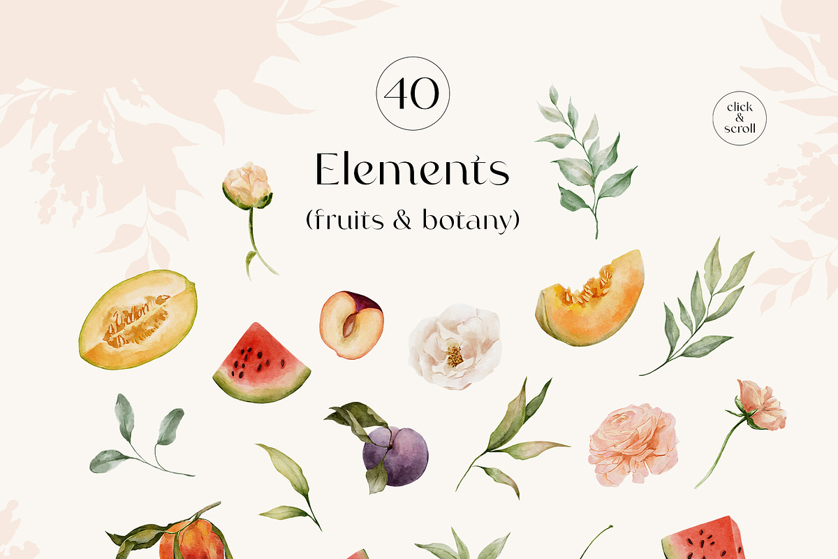 FRUITY SUMMER watercolor floral set, a Seasonal Illustration by Yuliia Lashevska (Photo 12 of 13)