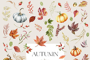 Big Autumn Collection