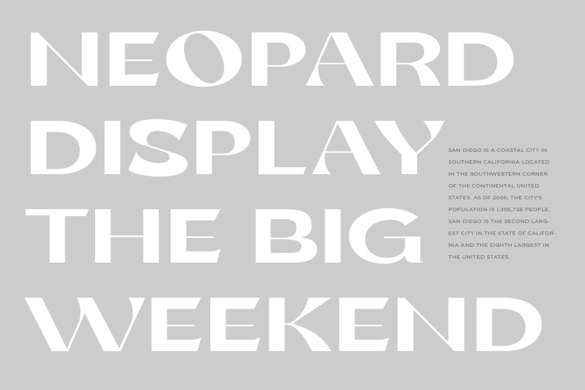 Nancy Walner Modern Sans, a Sans Serif Font by Yukita Creative (Photo 2 of 12)