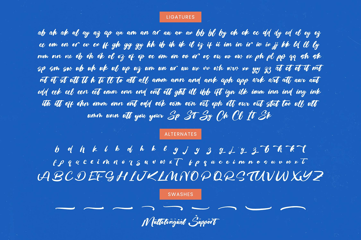 Sketch Checkin  Modern Brush Font, a Script Font by Letterena Studios Script (Photo 19 of 20)