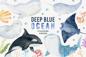 Ocean & Under the sea animal clipart
