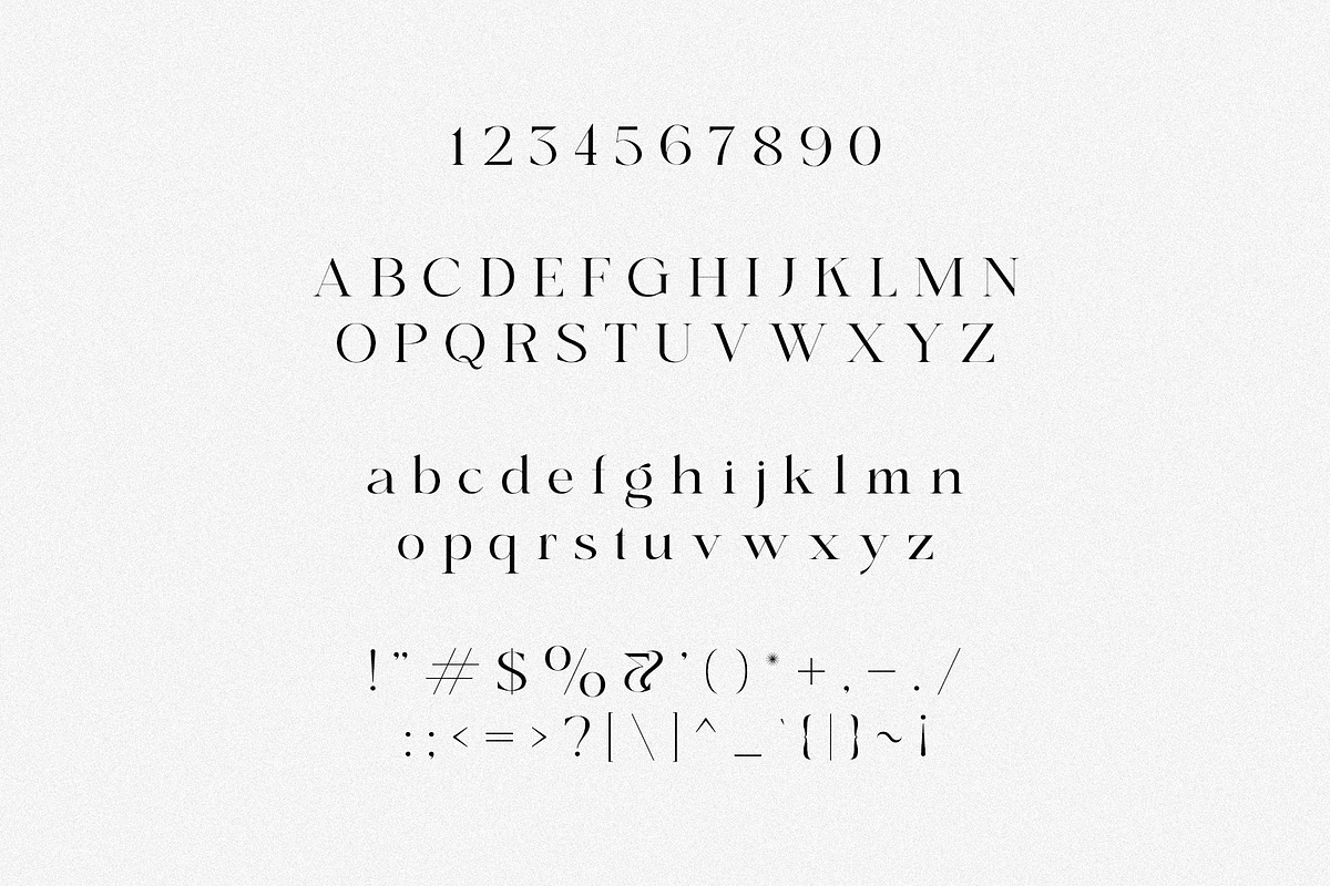 Anomaly - Elegant Serif, a Serif Font by Schrifted Type (Photo 7 of 8)