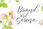 Brinkley, a Script Font by Rotterlab Studio (Thumbnail 3 of 8)