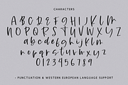 Rusticity Script, a Handwritten Font by Beck McCormick (Thumbnail 10 of 10)