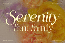 BD Serenity Serif | 10-Font Family