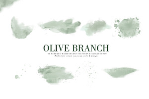 Olive Branch