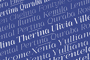 Galdertin Charetam | 141 Font Style, a Serif Font by IM Studio (Thumbnail 6 of 12)