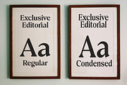 Exclusive Editorial - Retro Serif, a Serif Font by Dora Typefoundry (Thumbnail 2 of 12)