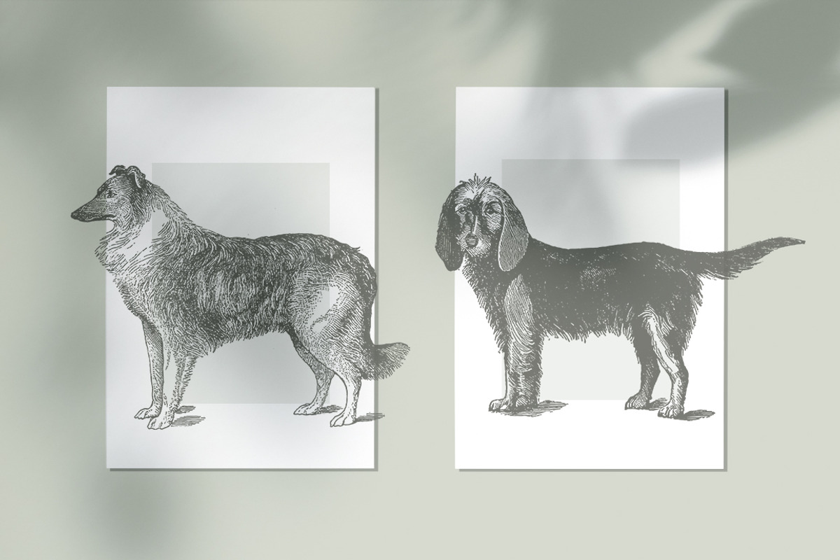 Vintage Bundle 2500+ Free Update, an Animal Illustration by Retro Machine (Photo 97 of 170)