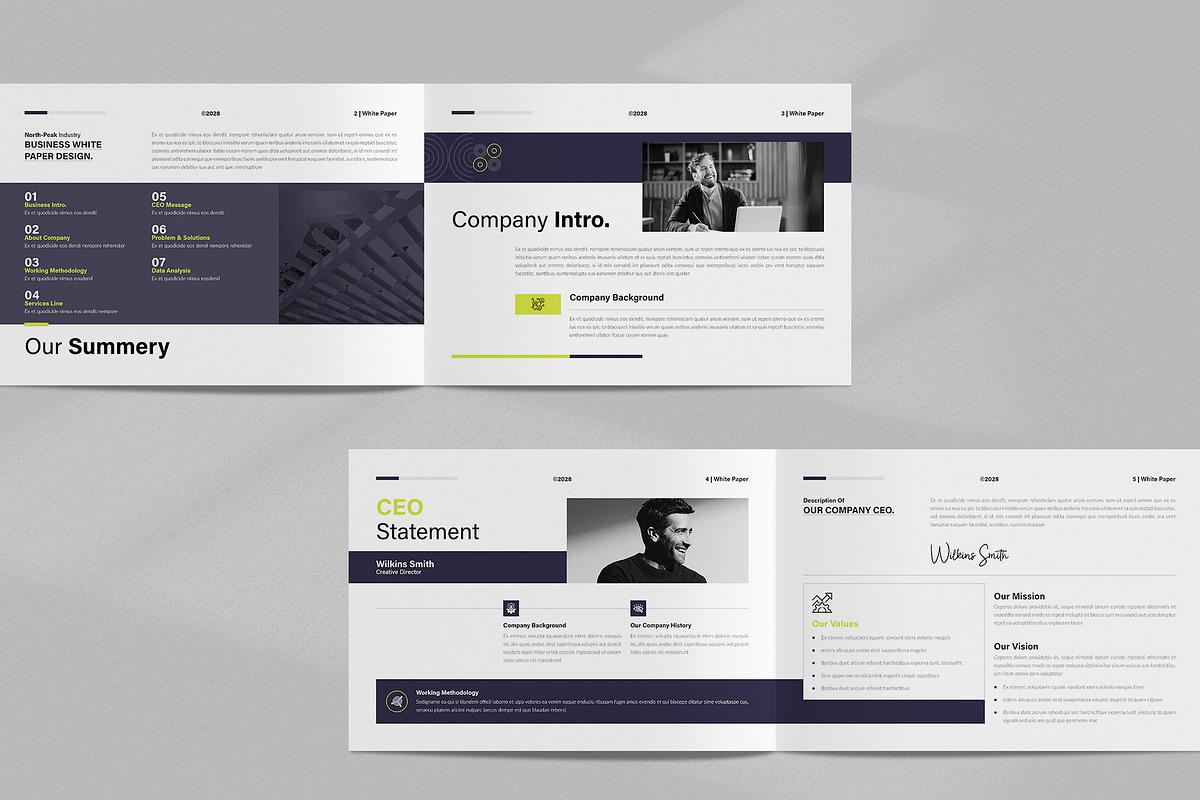 White Paper Template Landscape, a Brochure Template by NorthPeak (Photo 3 of 12)