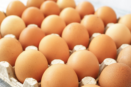 Brown chicken eggs in a cardboard tray on a rustic wood background for farm and, a Food & Drink Photo by Eugene_Photo