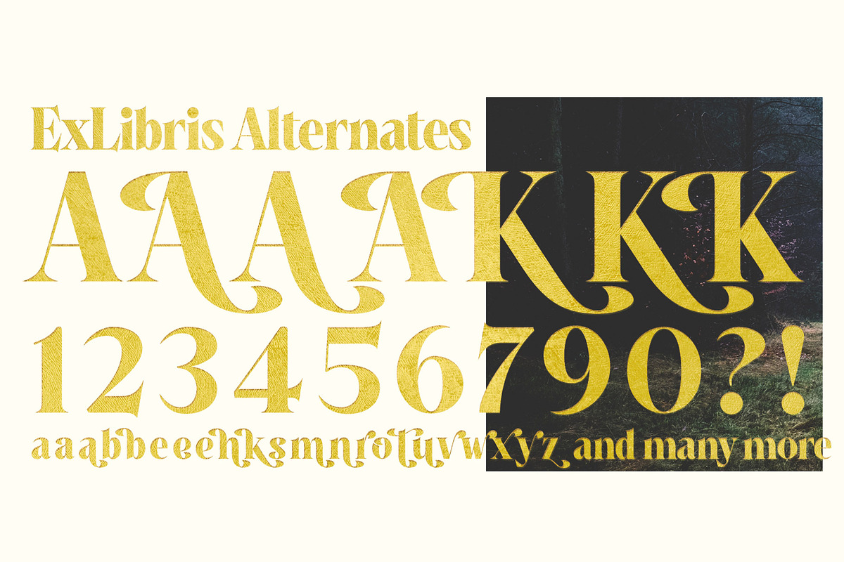 Ex Libris Flared Serif, a Serif Font by Fenotype (Photo 9 of 11)