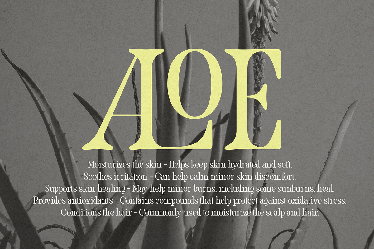 Pakoshe – Serif Font, a Serif Font by NDNL Studio (Photo 3 of 9)
