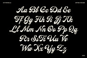 ED Torinella - Vintage Script Font, a Script Font by Emyself Design (Thumbnail 3 of 10)