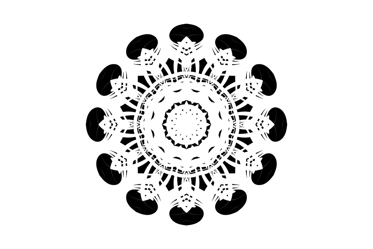 Modern Black and White Mandala Pack, a Decorative Illustration by NJ Himel (Photo 9 of 101)