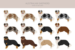 Australian Shepherd Dog Clipart