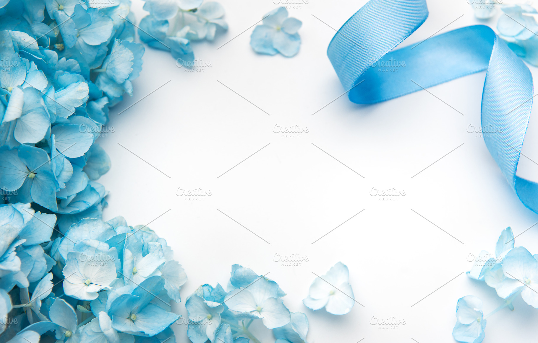 Blue hydrangeas and ribbon forming elegant frame, a Holiday Photo by Olena Rudo