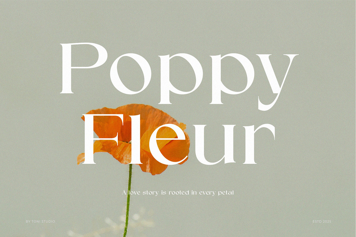 SOMER | modern and elegant serif, a Serif Font by ToniStudio (Photo 4 of 11)