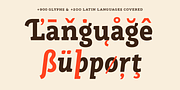 Rogliano Pro, a Slab Serif Font by Untype (Thumbnail 18 of 26)