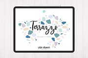 Terrazzo Procreate Stamp Brushes, a Brush Add-On by Cate Shaner (Thumbnail 1 of 4)