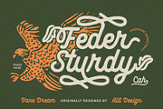 Vane Dream Typeface, a Script Font by alit design (Thumbnail 6 of 15)