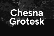 Chesna Grotesk, a Sans Serif Font by Horizon Type Foundry (Thumbnail 1 of 19)