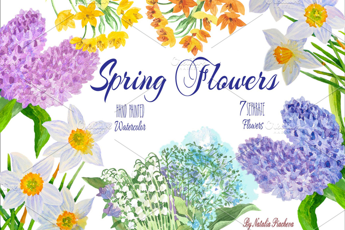 Spring Flowers, a Decorative Illustration by Nataliapiache (Photo 1 of 3)
