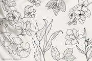 Floral Garden - Floral Line Art, an Illustration by IllustratorAnnie (Thumbnail 6 of 10)