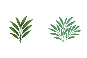 Unique green leaf arrangement, a Nature Photo by ZinetroN