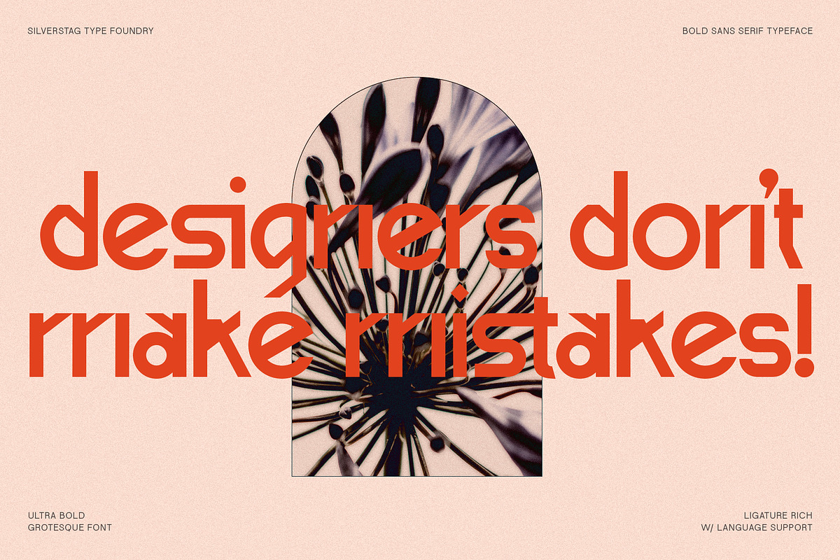 Baroque Grotesk - Ultra Bold Font, a Sans Serif Font by SilverStag Type Foundry (Photo 6 of 20)