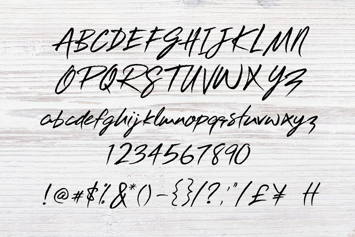 Riverdance Handwritten Font preview 5