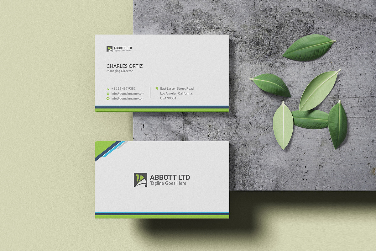 Business Card, a Business Card Template by DesignDevisers (Photo 4 of 10)