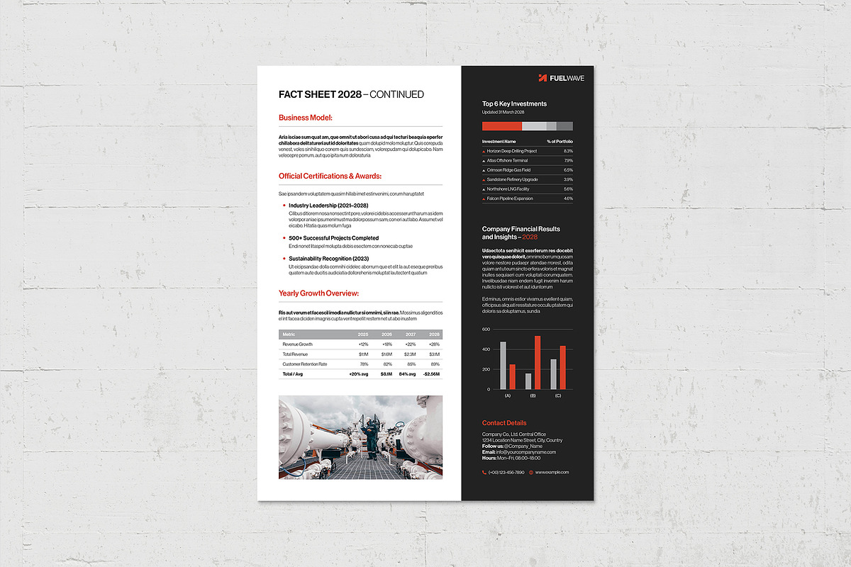 Factsheet Template, a Flyer Template by BrandPacks (Photo 2 of 5)